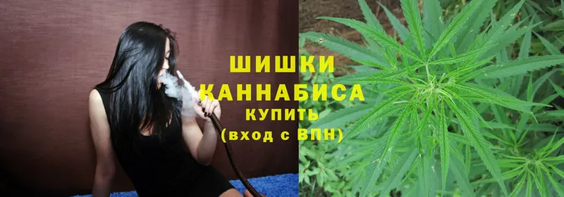 где найти   Голицыно  Каннабис SATIVA & INDICA 